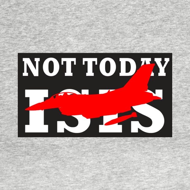 NOT TODAY ISIS by Bluesuiter